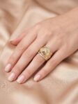 ANLA042 A