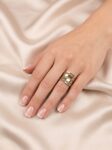 ANLA066 A