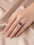 ANLA083 A